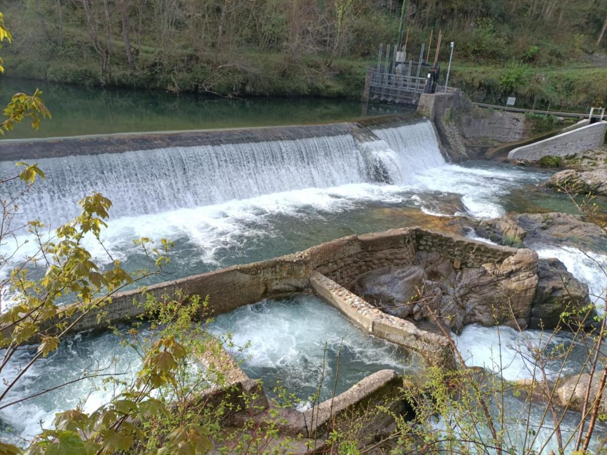 La Salmonera Cangas De Onis Caño Eksteriør bilde