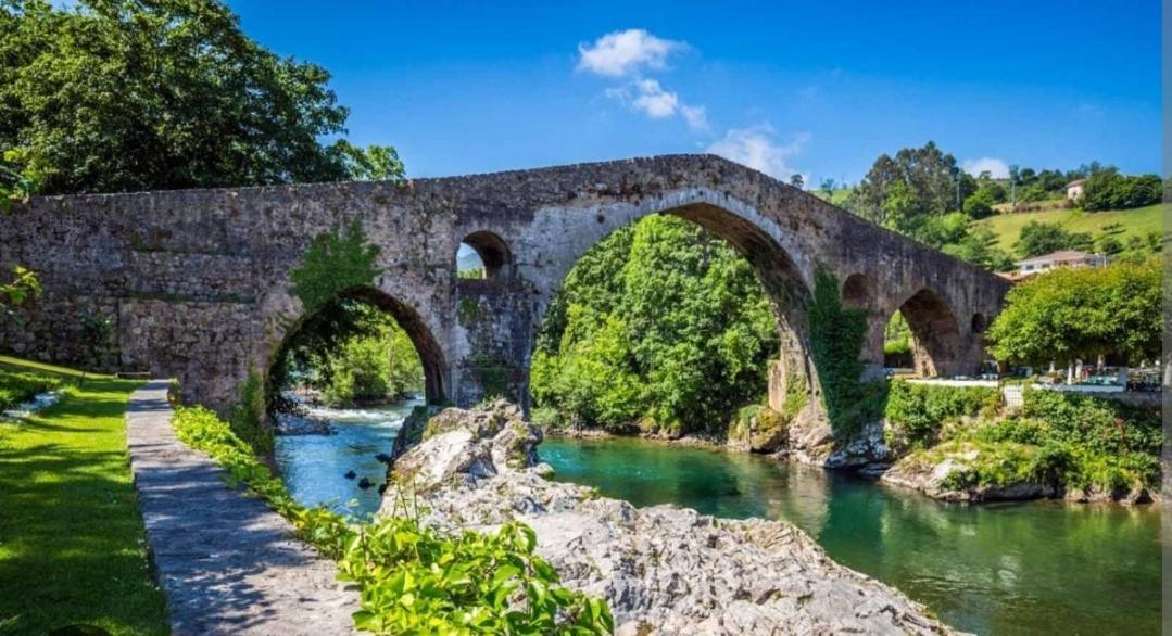 La Salmonera Cangas De Onis Caño Eksteriør bilde