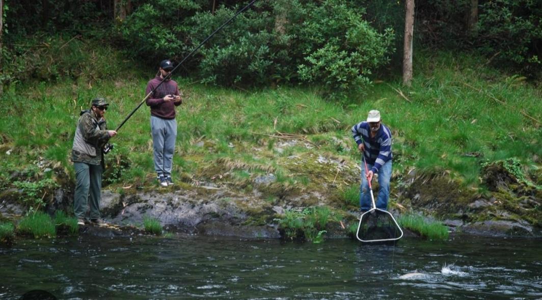 La Salmonera Cangas De Onis Caño Eksteriør bilde