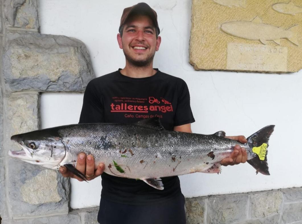 La Salmonera Cangas De Onis Caño Eksteriør bilde